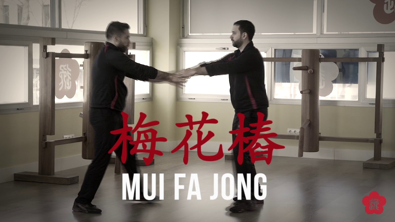 Wing Chun -  Ving Tsun -  Wing Tsun Kung Fu