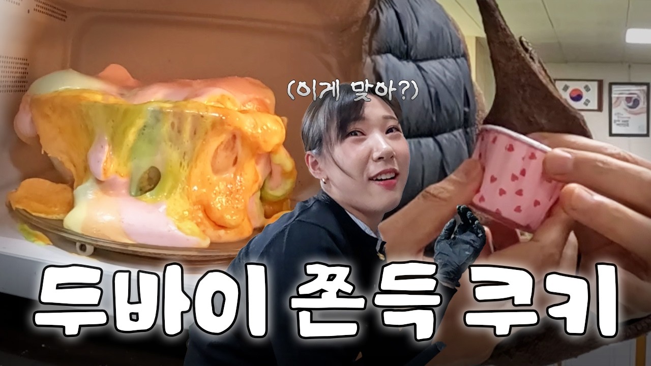 무지개 칼라 두쫀쿠