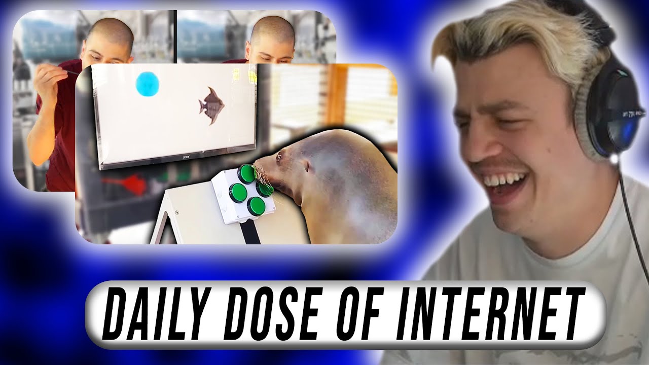 Papaplatte reagiert auf DAILY DOSE OF INTERNET 8.0 I Papaplatte Reaction