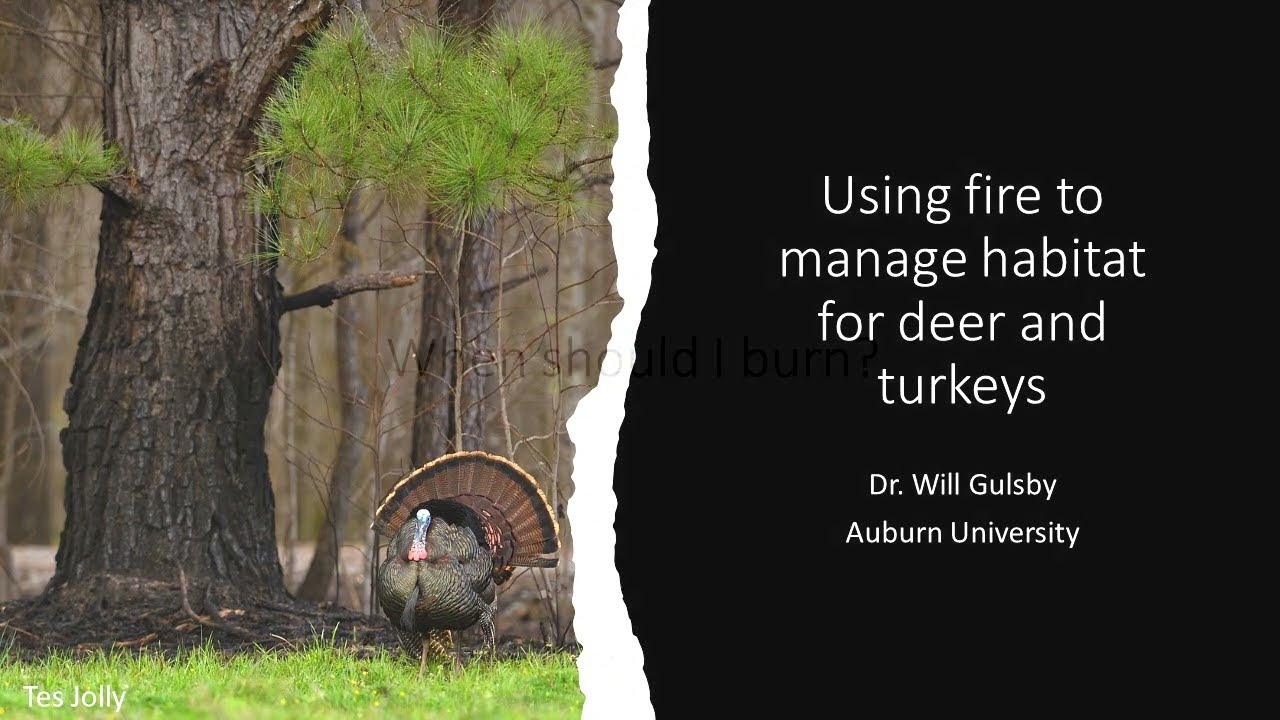 Wildlife Management: If You Build It...