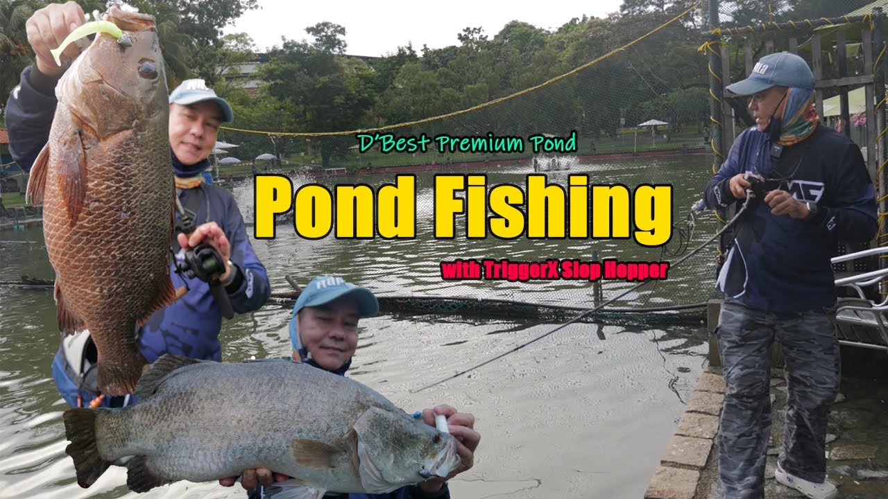 Рыбалка в пруду с мягким пластиком TriggerX | D'Best Fishing Premium Pond