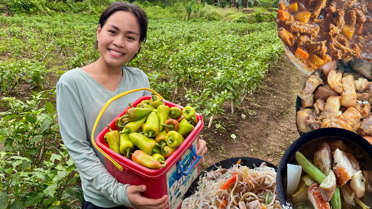 Harvesting Bell Pepper and cook 