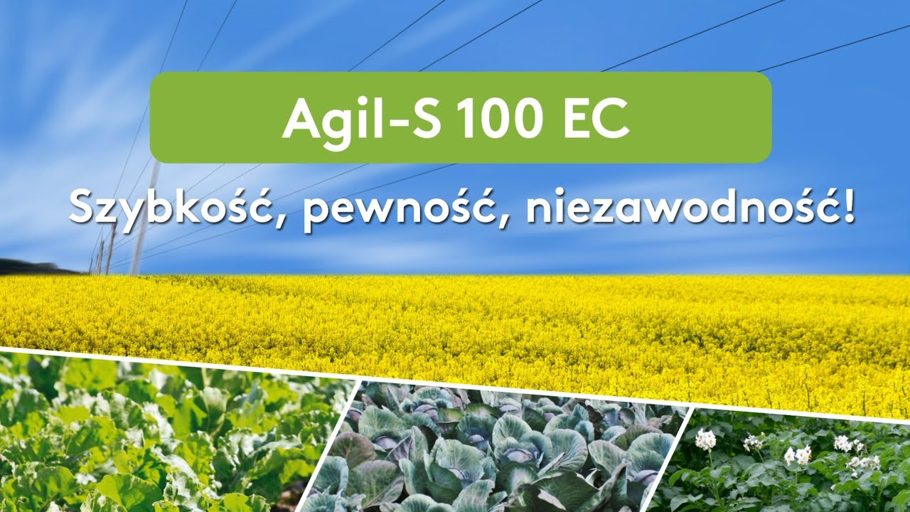 Agil-S 100 EC - Jak radzić sobie z chwastami jednoliściennymi w rzepaku?