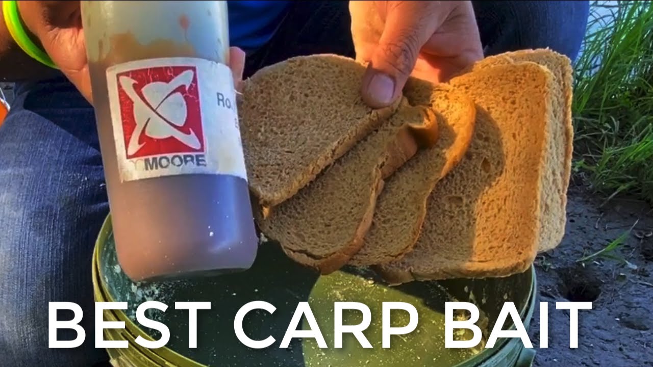 C&oacute;mo hacer la mejor masa para a pescar carpas