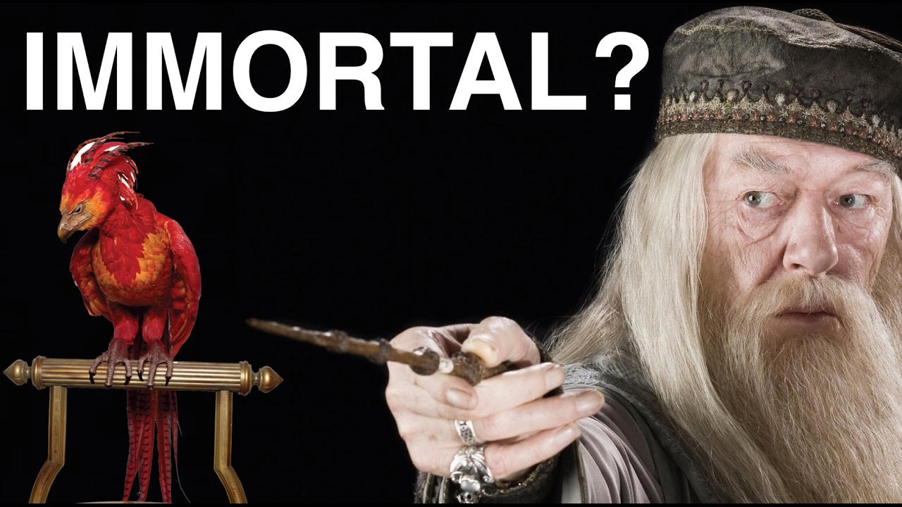 Harry Potter Theory: Could Dumbledore Have Been Immortal?
