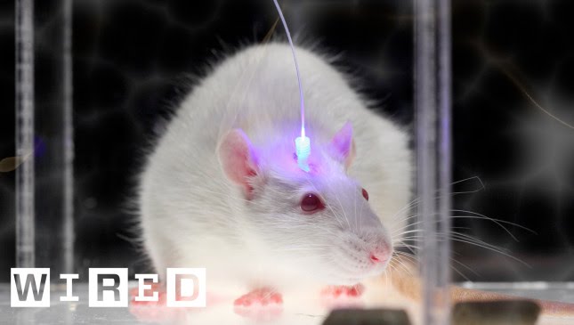 Optogenetics and Enhancing Brain Functions-A World Economic Forum Discussion-Ideas @Davos-WIRED