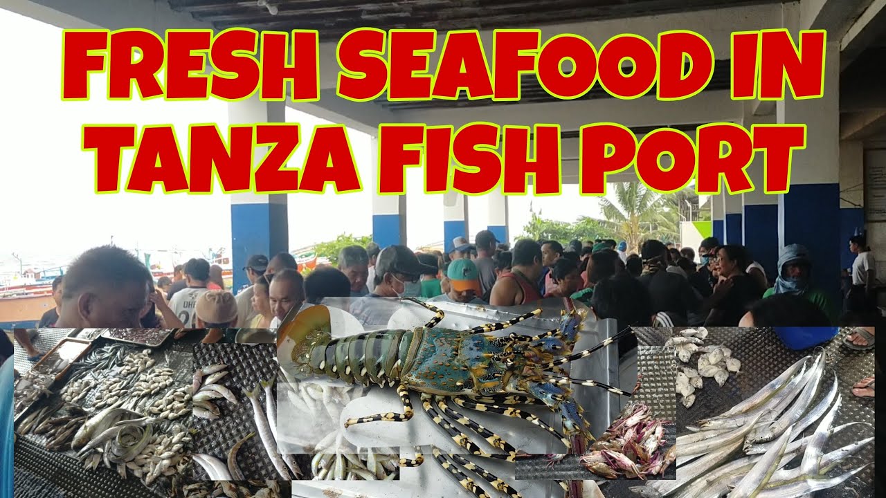 Bagsakan sa Tanza fish Port Terminal ibat iBang uri ng sariwang isda Mapaparami ka ng Bili Dito..
