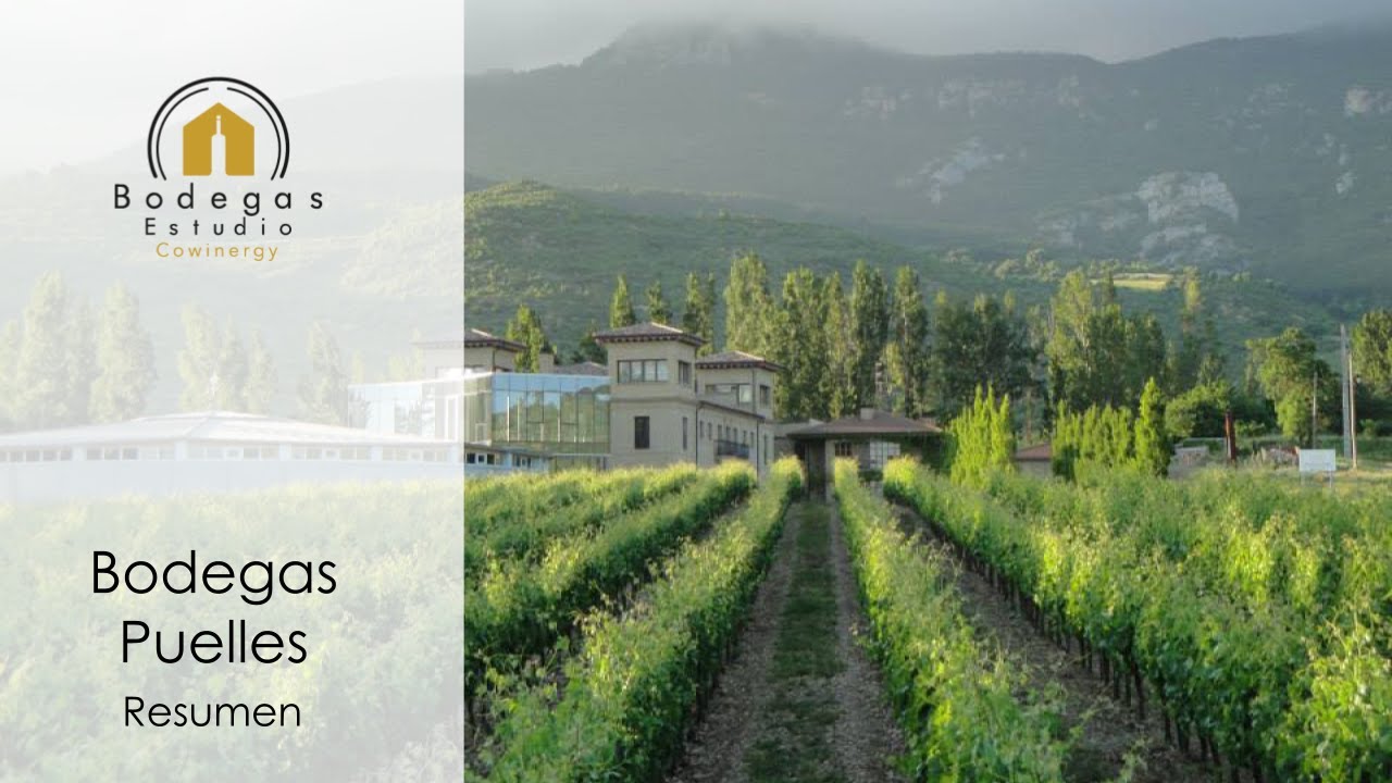 Bodegas Puelles | Nave de barricas en sótano para unas condiciones optimas
