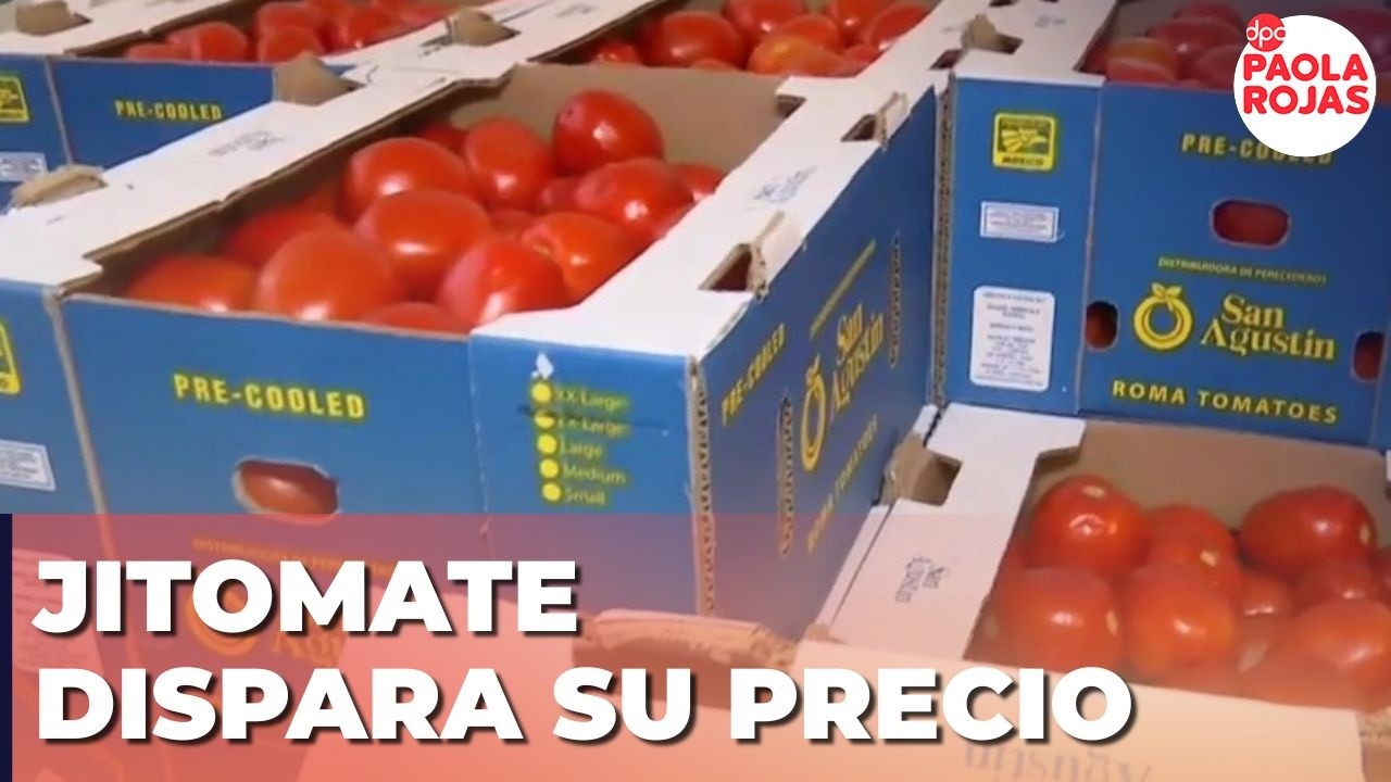 Jitomate dispara su precio y enciende alertas | DPC con Paola Rojas