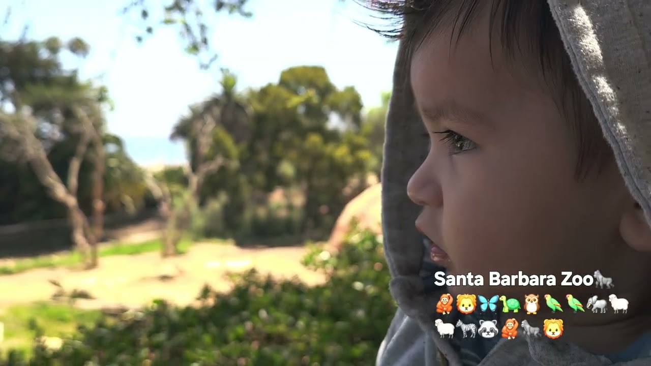 Santa Barbara California,  amazing zoo