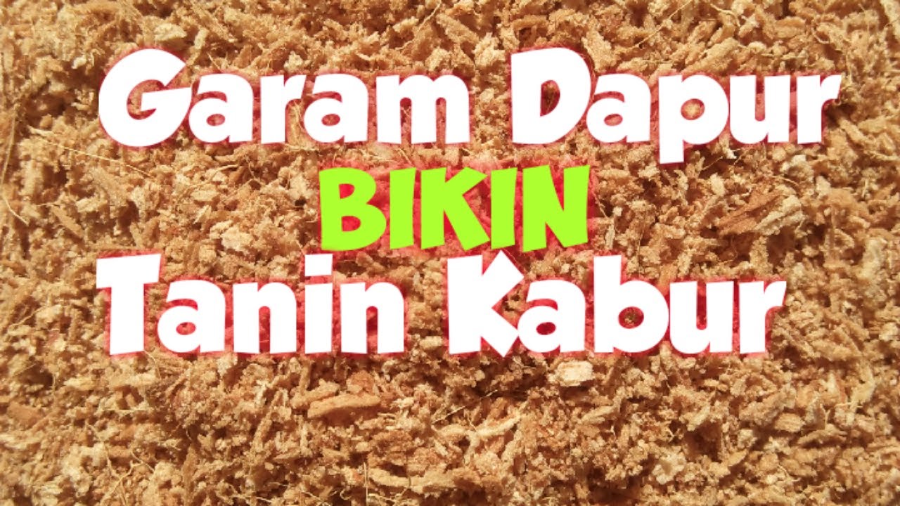 Cara Menghilangkan Tanin Pada Cocopeat Kelapa baru dengan garam dapur