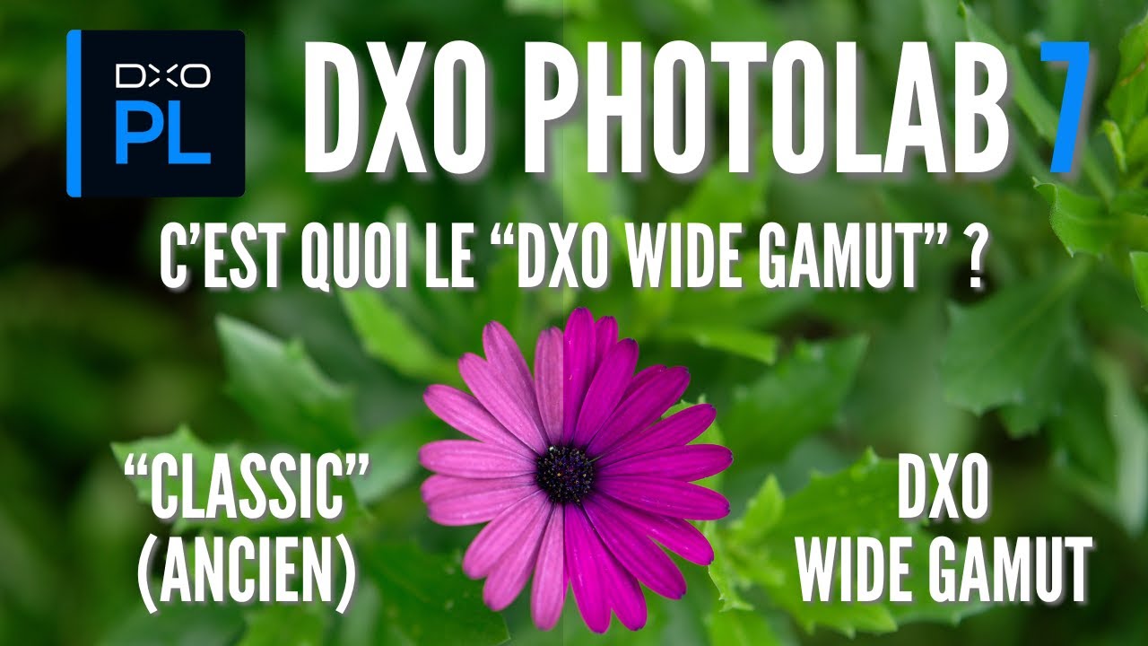 DxO Photolab 7 : c'est quoi le DxO Wide Gamut ? L'espace colorimétrique de travail expliqué 📸