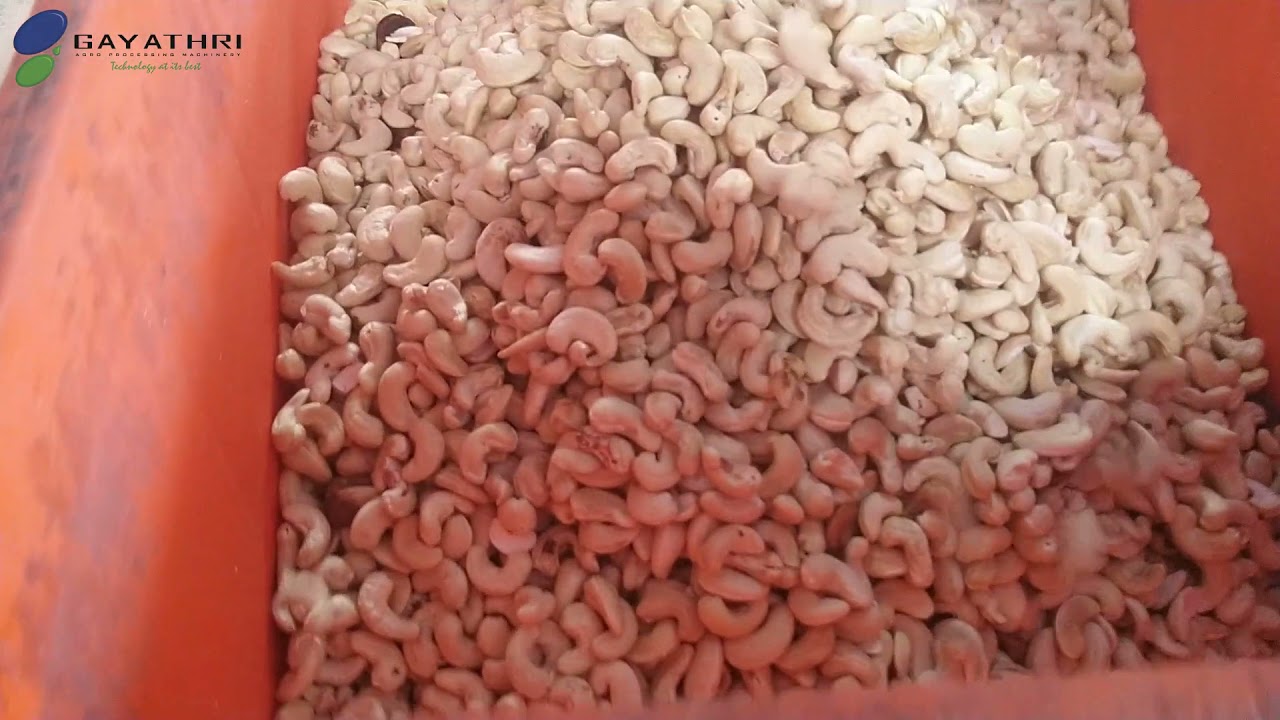 GIAT Mini Color Sorter for Cashew