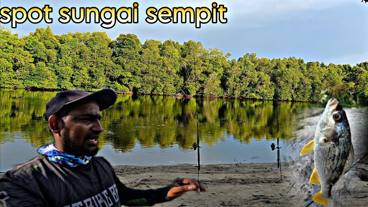 #334 spot sungai sempit teluk senangin guys 🎣🎣