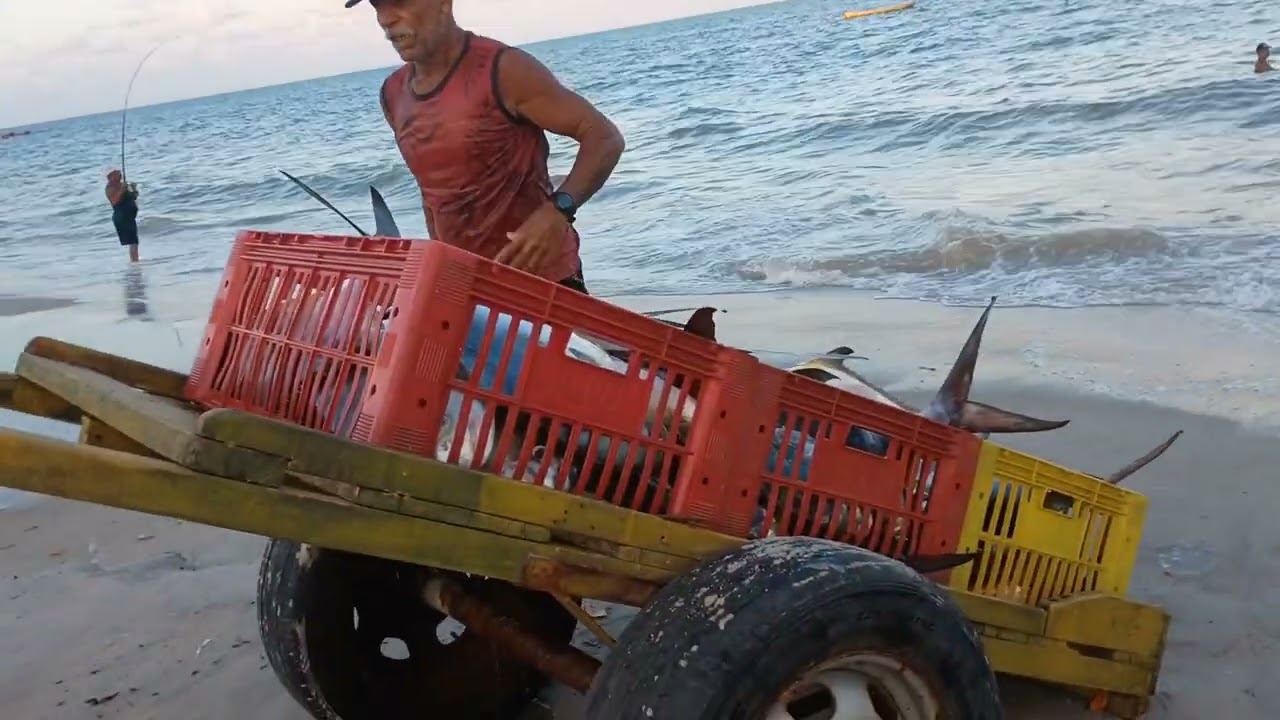 quem procura encontrar, curta e compartilhe , assista