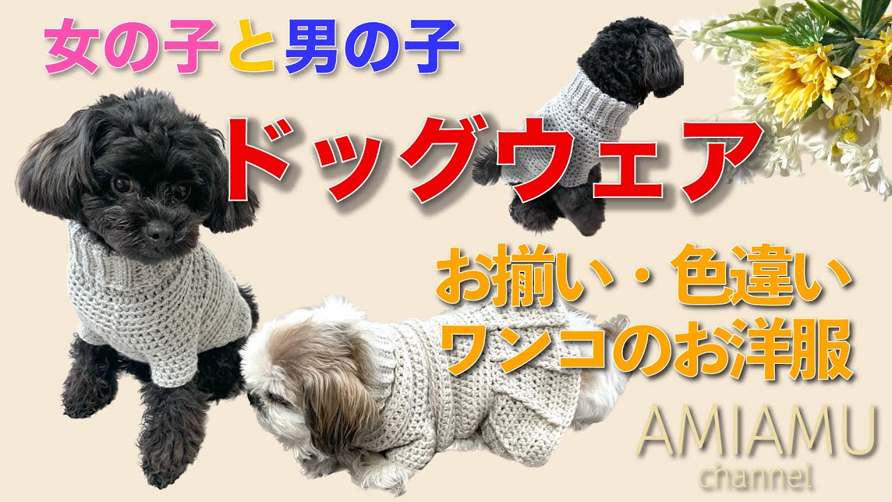 #タートルネック の #ワンコのセーター 男の子と女の子  #あみあむぷらす ーamimamu_plusー