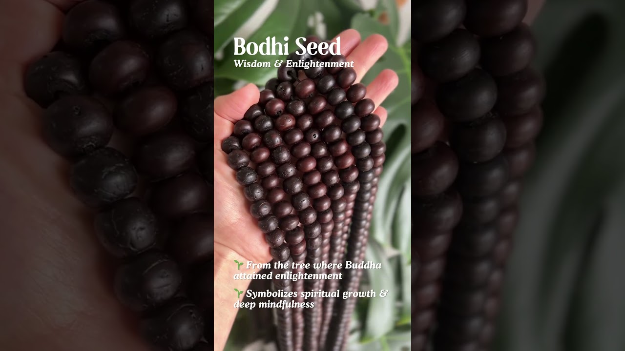 Bodhi Seeds &mdash; not just beads, a symbol of awakening. 🌱✨