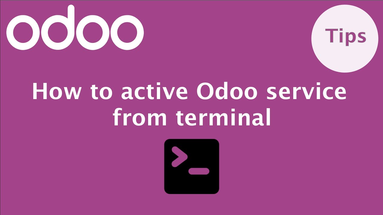 How to execute Odoo from terminal | odoo-bin | Active Odoo service | Odoo command line parameters