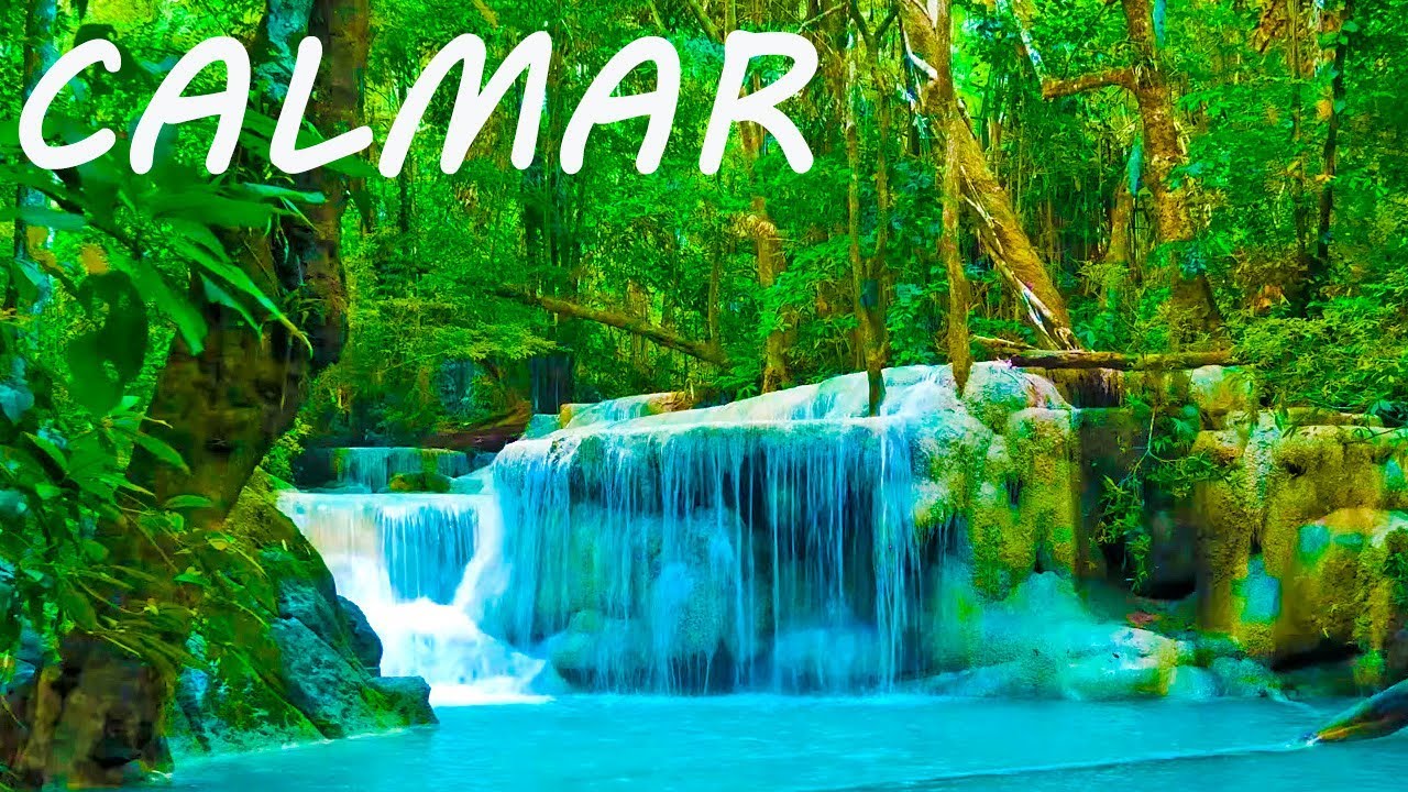 M&uacute;sica Relajante 24/7 🔴 Calmar la Mente 6 - Relajaci&oacute;n y Dormir