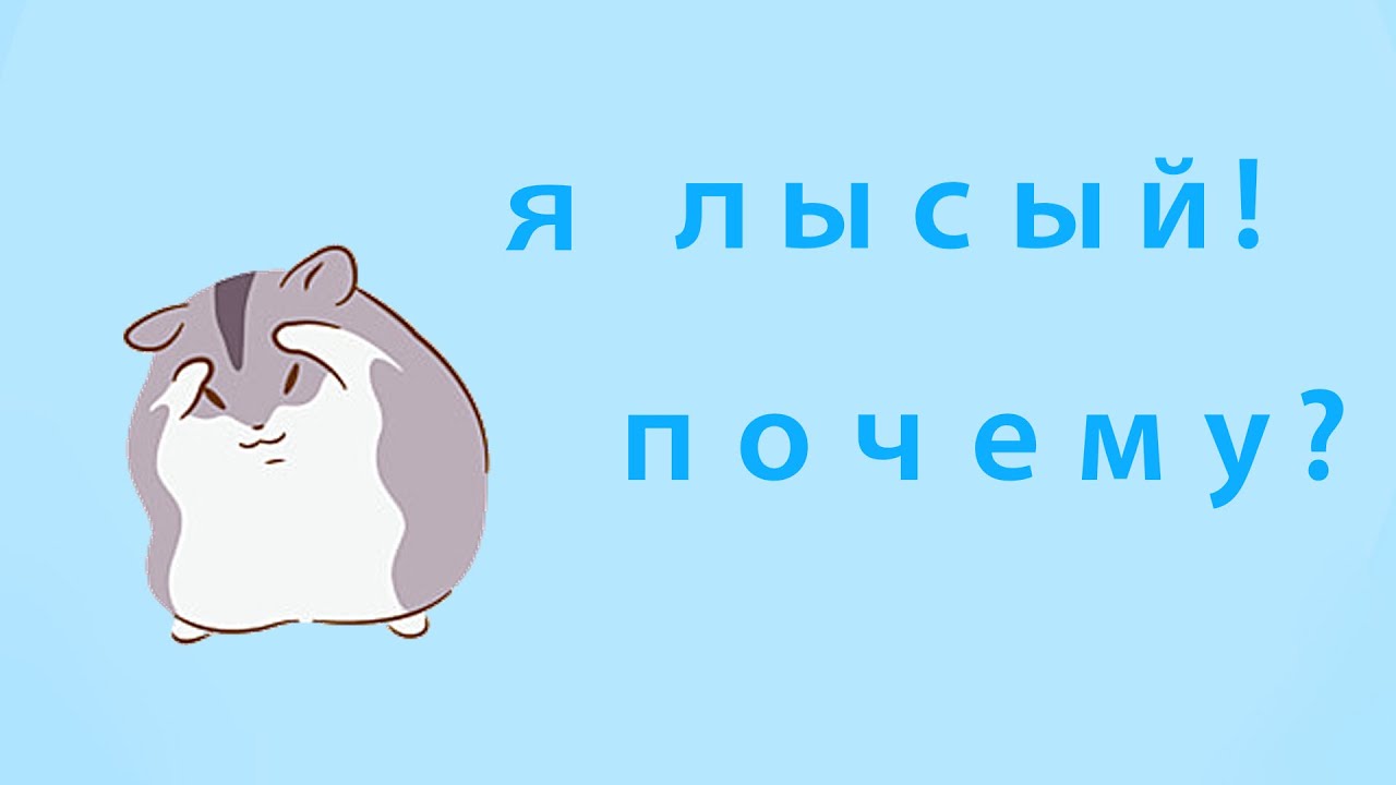 Почему у хомяка брюшко синего цвета? ЭНИМАЛтерапия.