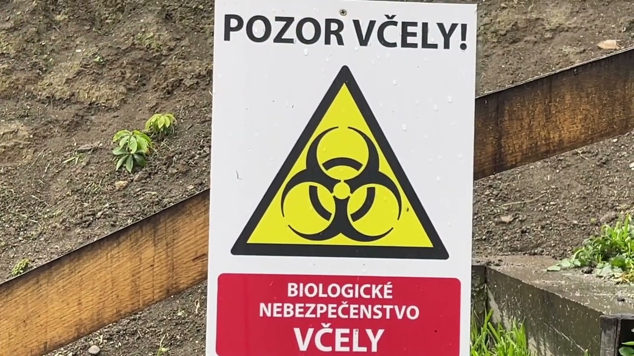 Поездка в Тренчин (Словакия). Октябрь 2022г. Этоте с друзьями.