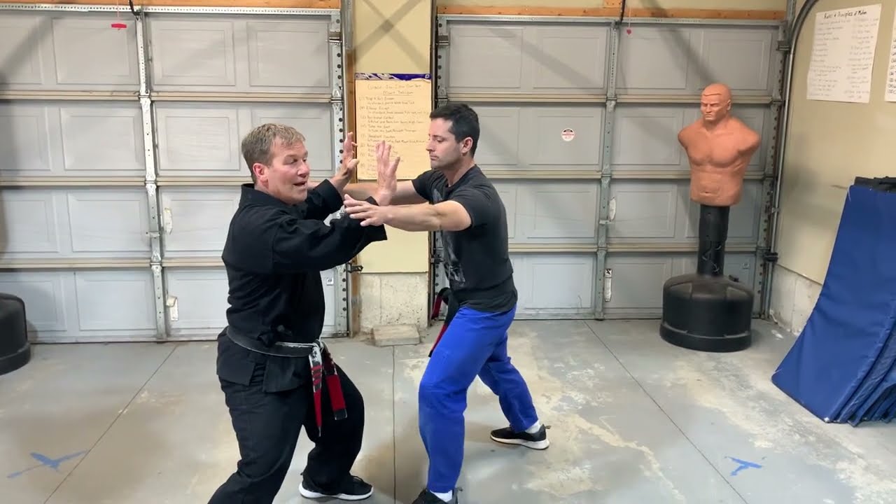 KENPO Parting Wings (extension) - Jamie Seabrook
