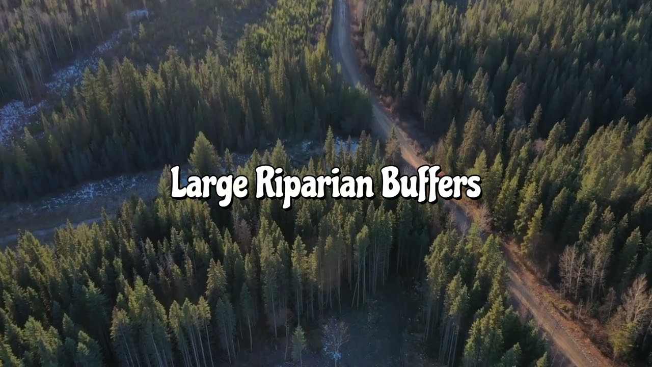 Drone Compilation of Post Harvest blocks