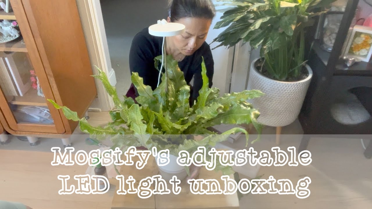 Mossify's Adjustable LED Light Unboxing