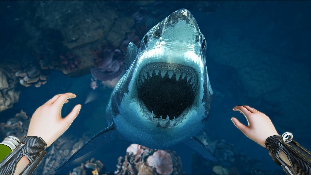 ABSOLUTELY TERRIFYING • FREEDIVER: TRITON DOWN VR • CINEMATIC EDIT