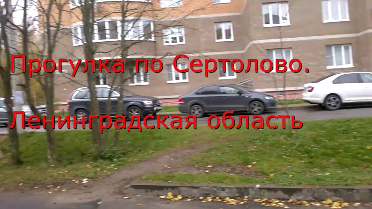 Прогулка по СЕРТОЛОВО.Ленинградская область.Всеволожский район.18 октября 2020