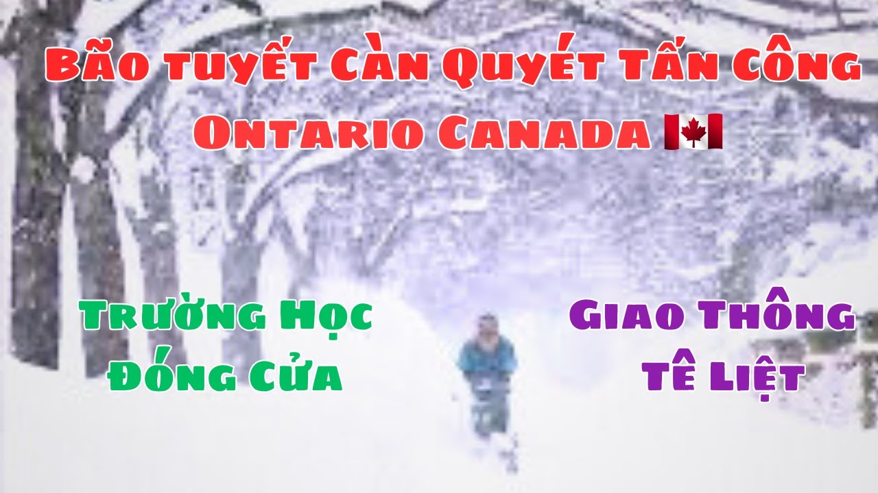 Bão Tuyết Tấn Công Ontario Canada , Hàng Triệu Dân Đối Mặt Với Mùa Đông Tàn Khóc 🥶❄️