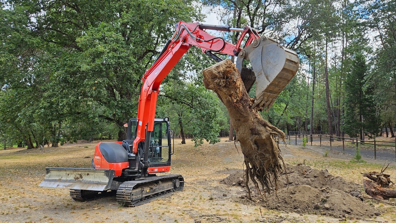 The Kubota KX 080 4 popping stumps