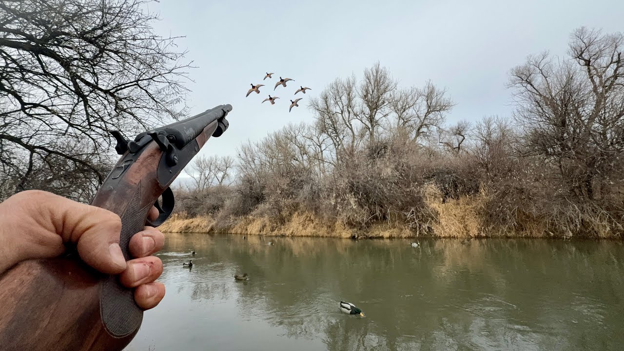 Epic Duck Hunting a Skinny Water Creek in the Woods!