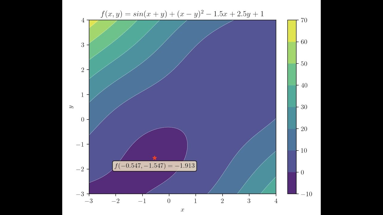 CS50P final project: Local optimizer