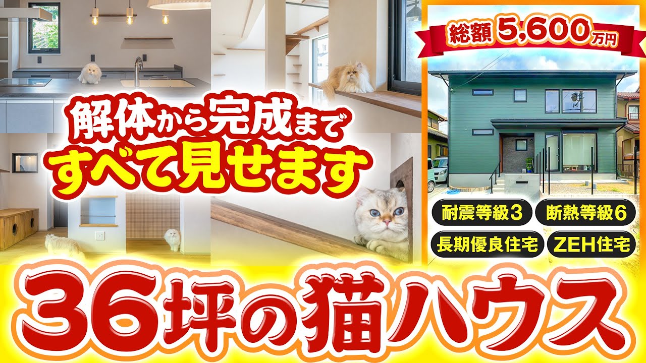 【猫と夫婦の理想の暮らし】総額5,600万円の猫ハウスをルームツアー！解体から完成まで工事の裏側も見せます【新築注文住宅】