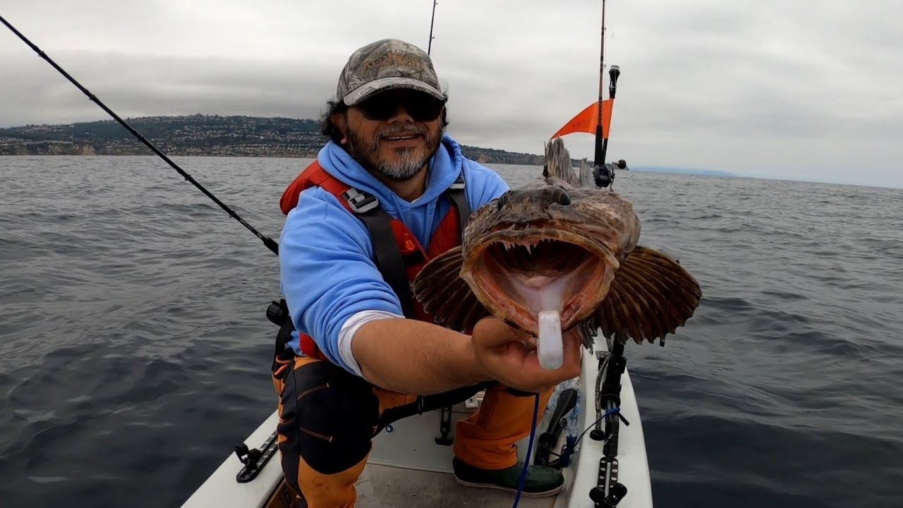 Multi-species kind of day (Redondo Beach, King Harbor)