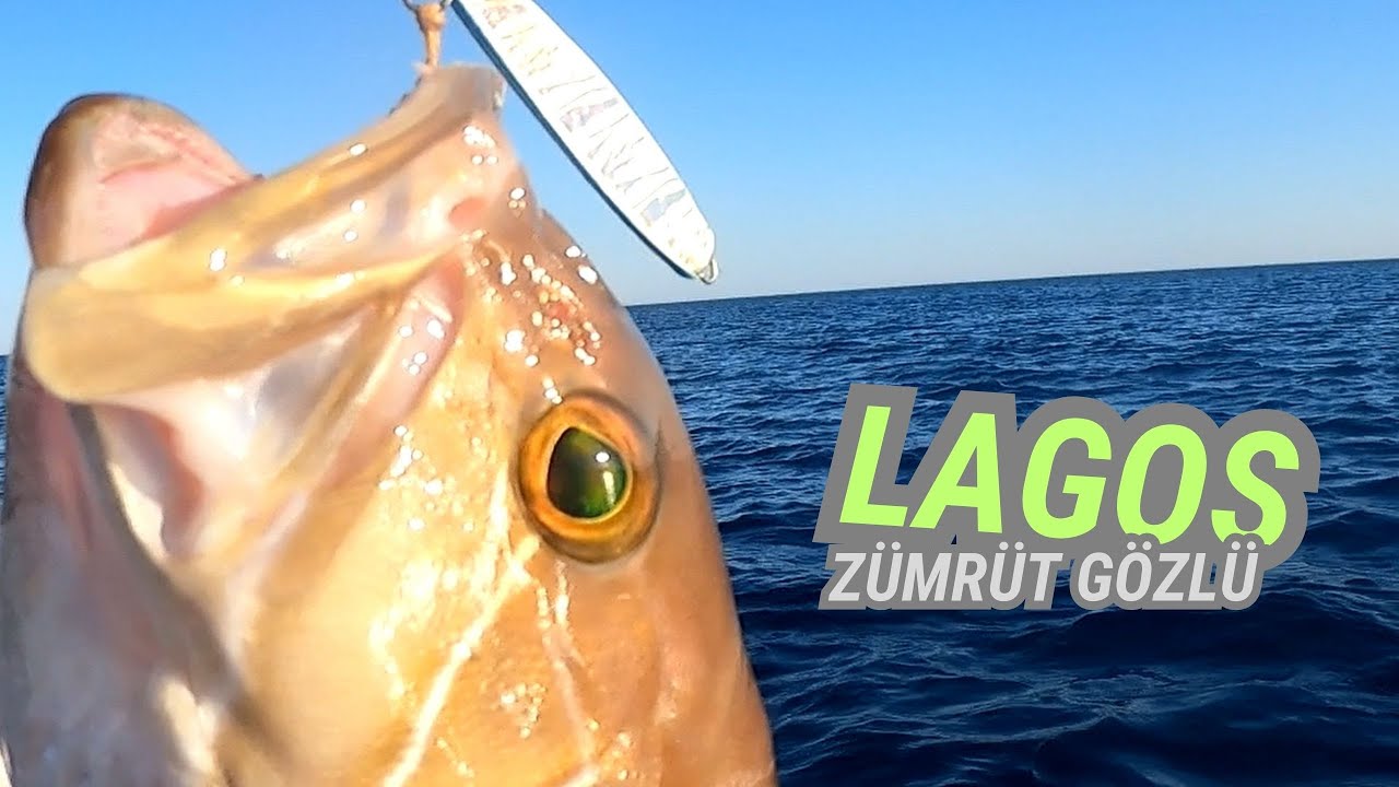 ŞİDDETLİ RÜZGARDA ZOR OLDU AMA ŞİŞME BOT İLE AKDENİZİN DERİNLİKLERİNDE AK LAHOS AVI. White grouper.