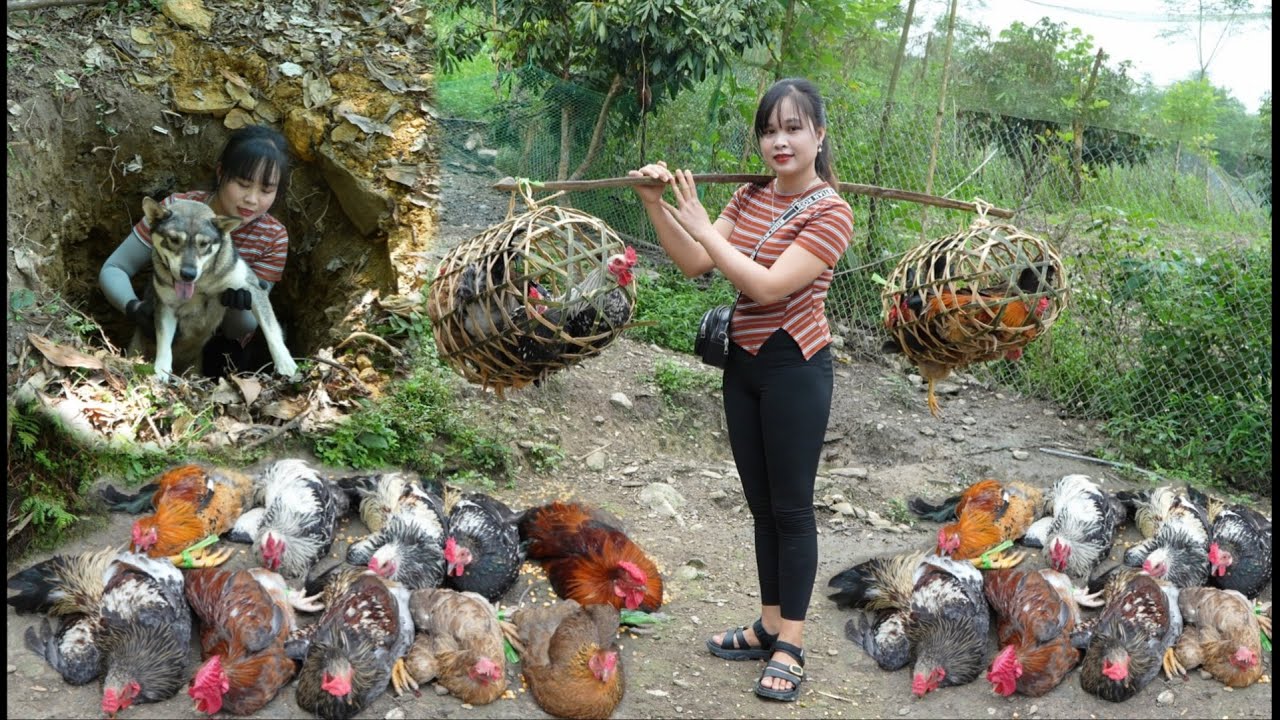 Vietnamese rural girl, selling chicken at market, collecting firewood, rescuing dog from deep pit