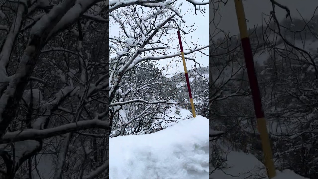 THE snow world