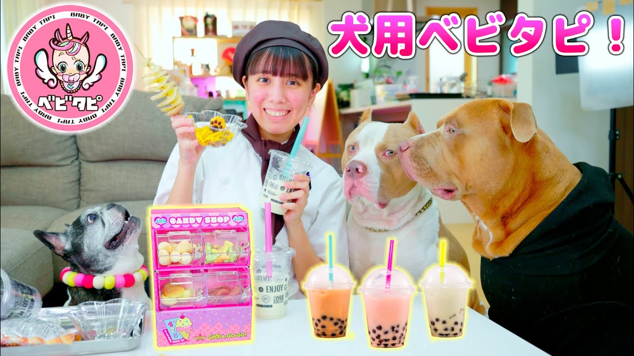 ベビタピを犬用で再現！タピオカにモンブランにポテトも！ロッキーたちの反応は？ベビタッピ！【ベビタピ】