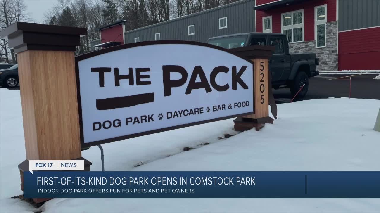The Pack Indoor Dog Park Opens