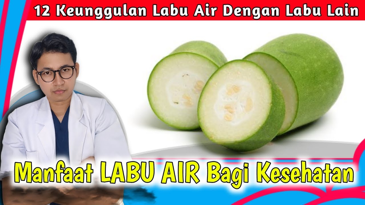 12 Manfaat Labu Air untuk Kesehatan Tubuh || dr. Andi