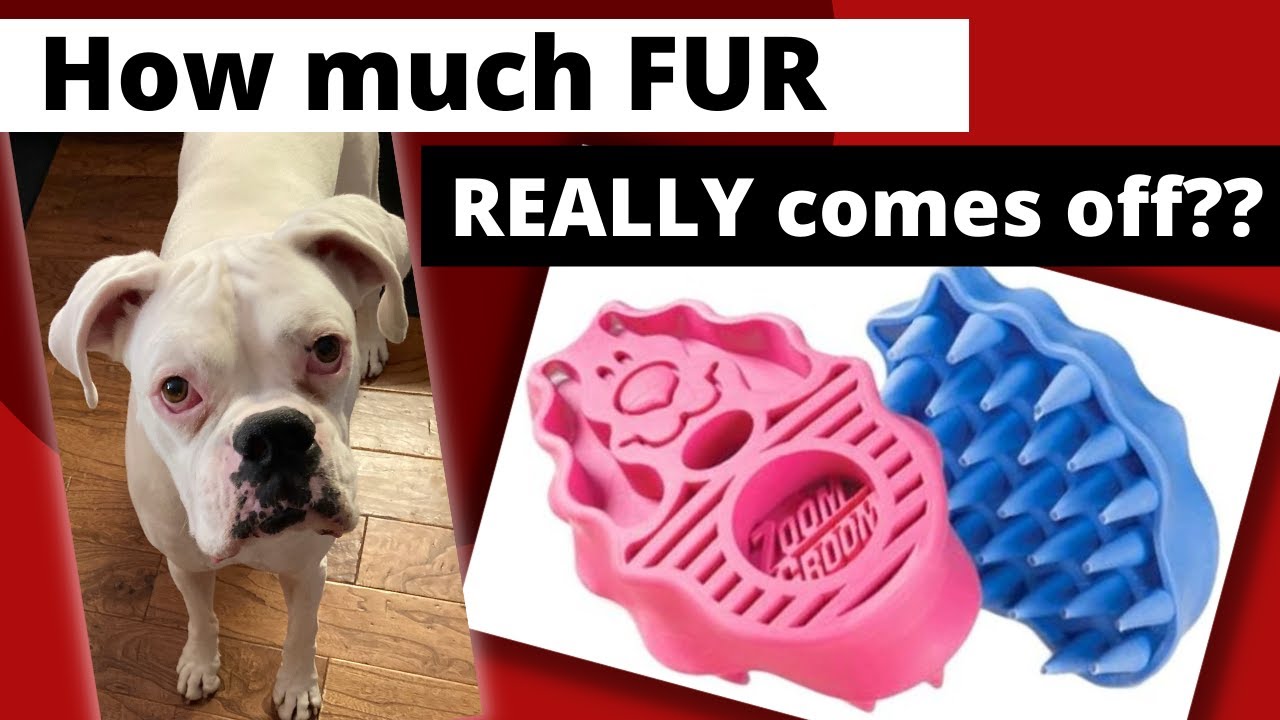 Watch How Much Fur Comes Off With A Zoom Groom...