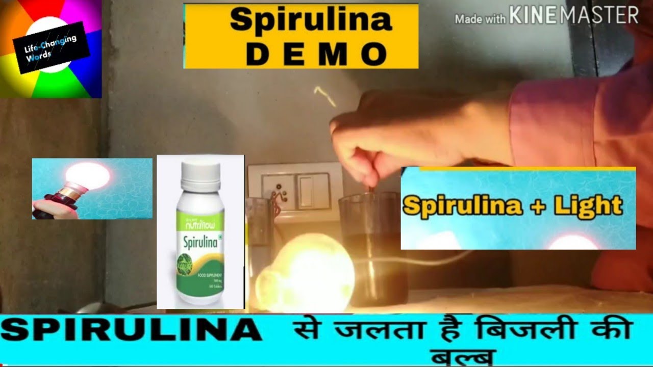 galway spirulina demo electricity | galway spirulina demo | spirulina demo | galway product review