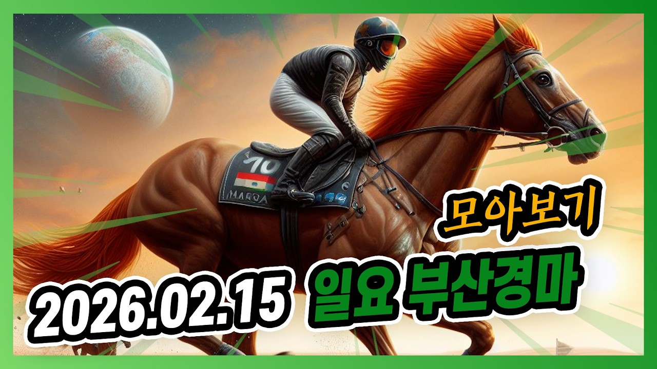 2026년 2월 15일 일요 부산경마 전체경주 모아보기