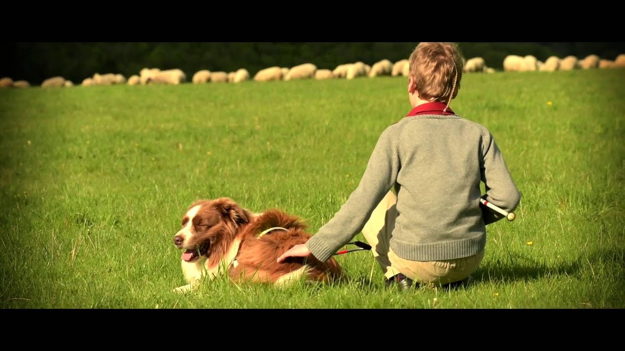 Way to go - Vodiaci pes [Official video]