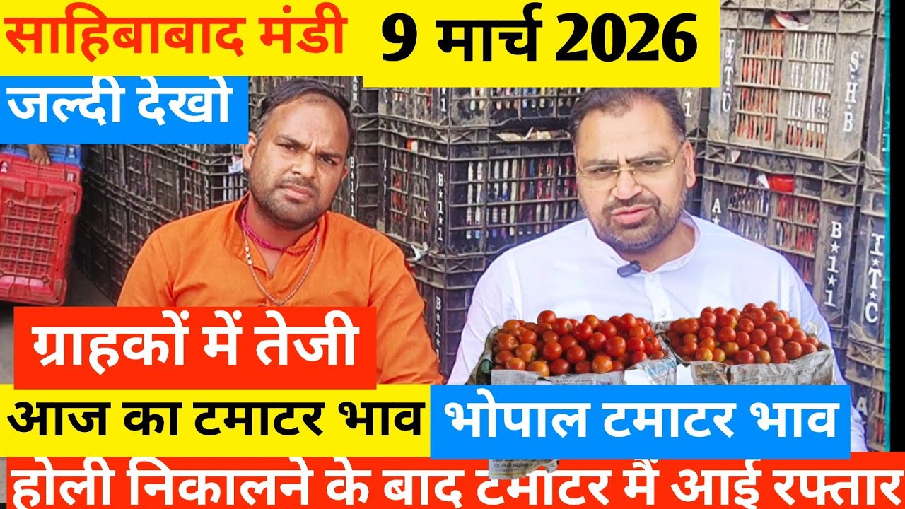Why This Indian Mandi is Full of Tomatoes 🍅आज का टमाटर  भाव