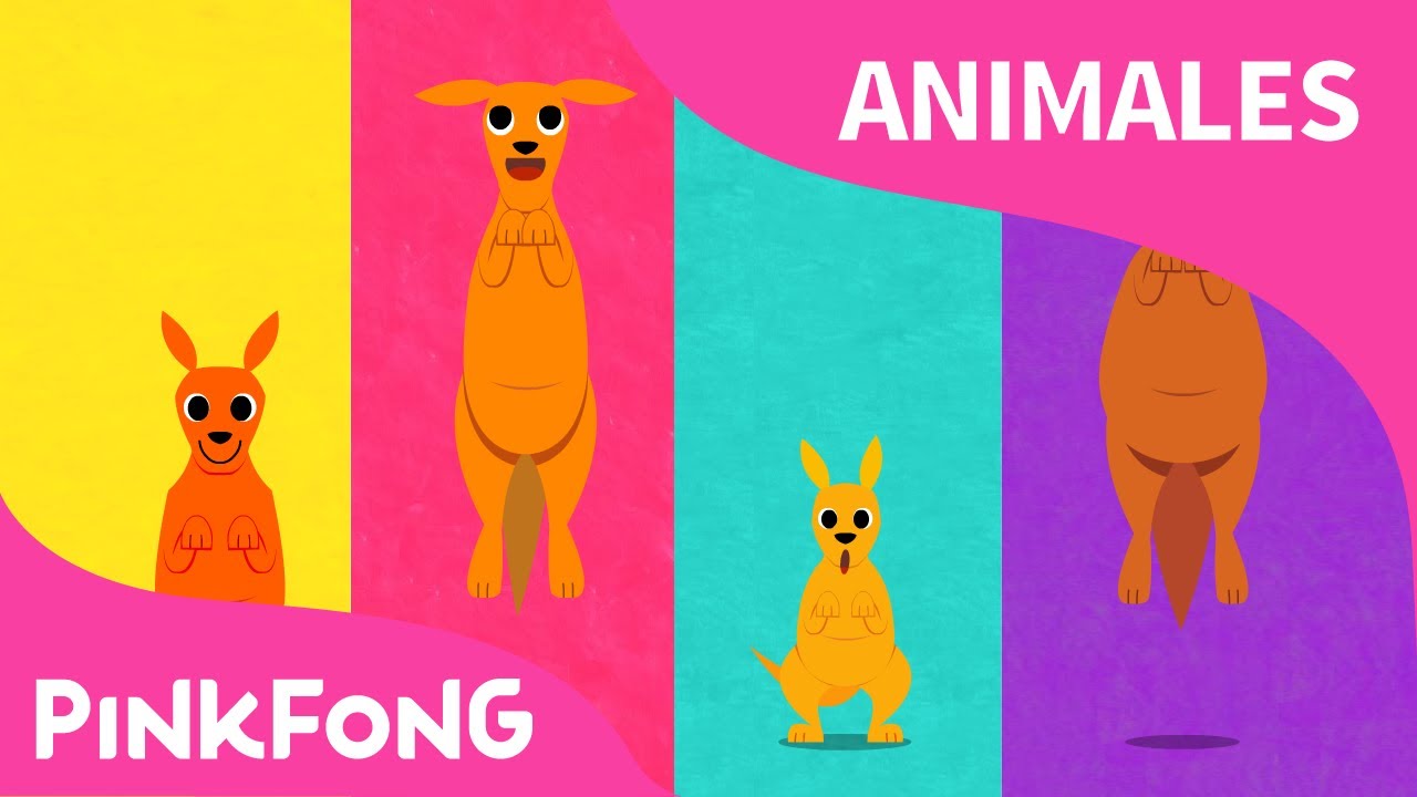 Canguro Boin Boin | Canguro | Animales | PINKFONG Canciones Infantiles