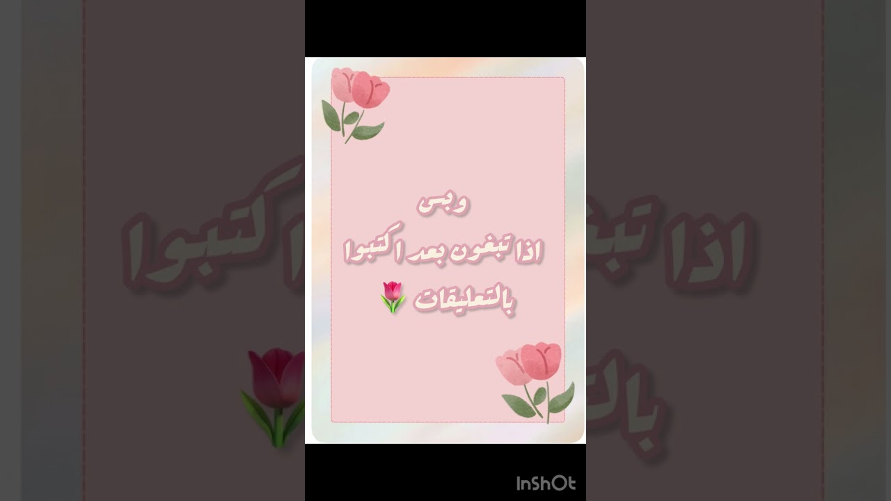 معلومات عن بنات المجد (2026)🌷✨