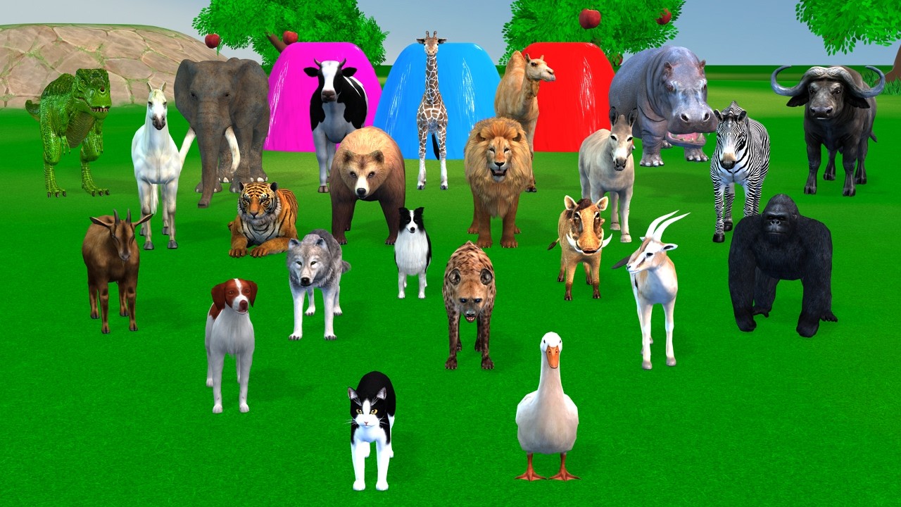 Long Slide Game with Cow Elephant Gorilla Hippopotamus Tiger 3d Animal Game Funny 3d Animals